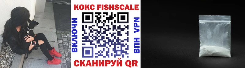 магазин Ельня Кокаин Fish Scale