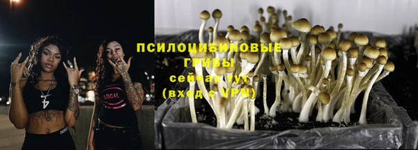 молекула духа Михайловск