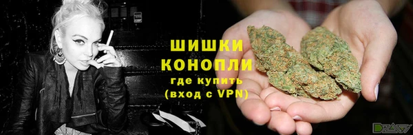 ПСИЛОЦИБИНОВЫЕ ГРИБЫ Наволоки