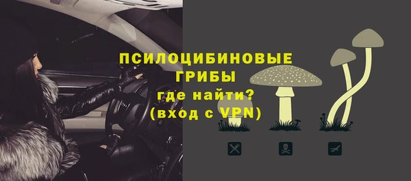 молекула духа Михайловск