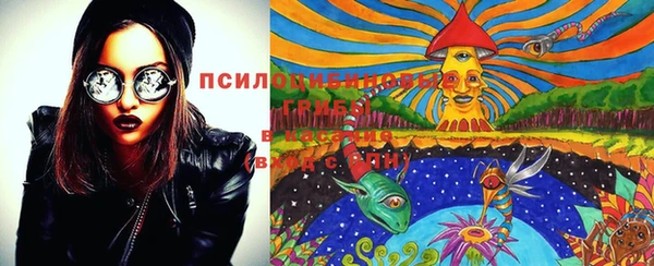 первитин Михайлов