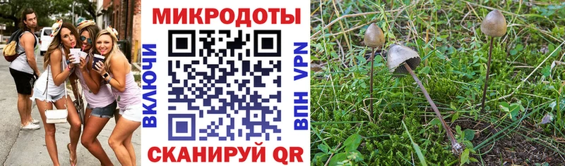 площадка клад  Ельня  Псилоцибиновые грибы прущие грибы  купить наркотик 