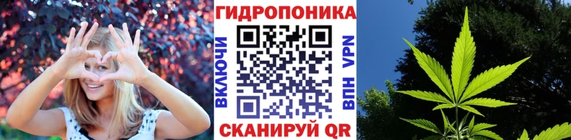 Бошки марихуана гибрид Ельня
